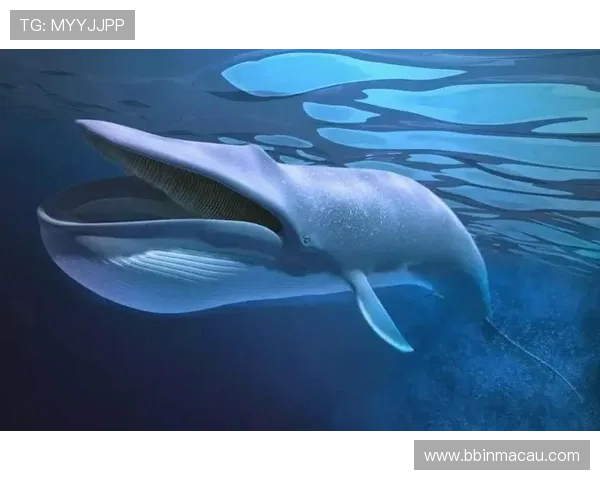 从蓝鲸的食物到辣椒的辣度一次看懂自然奇妙科学世界奥秘探索