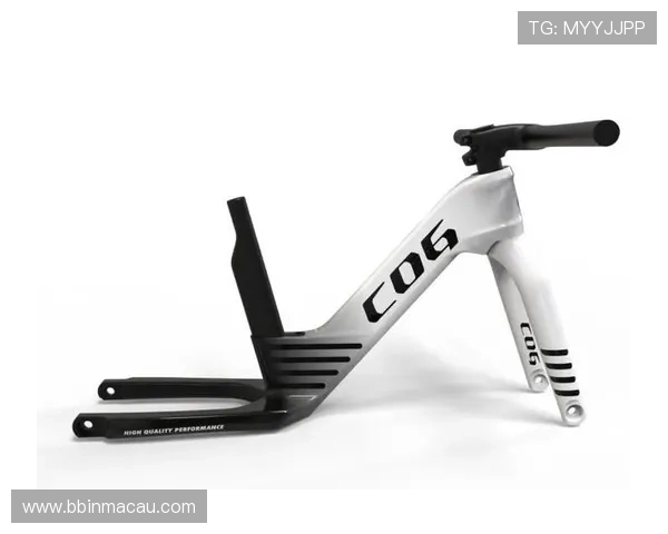 悟空体育引领体育科技创新打造智能化运动体验平台