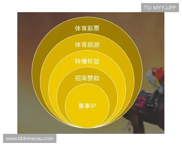 9博体育全新赛事资讯与实时比分解析，打造专业体育爱好者互动平台