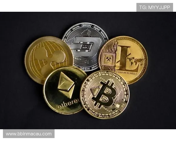 Rollbit中文解析使用指南新手必读加密交易娱乐平台介绍